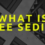 What Is Lee Sedin: A Legendary Hockey Player’s Journey What Is Lee Sedin