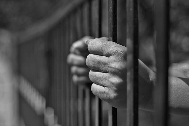 PBSO Booking Blotter