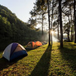 Pine woods camp