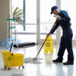 Dust Bunnies to Disinfecting